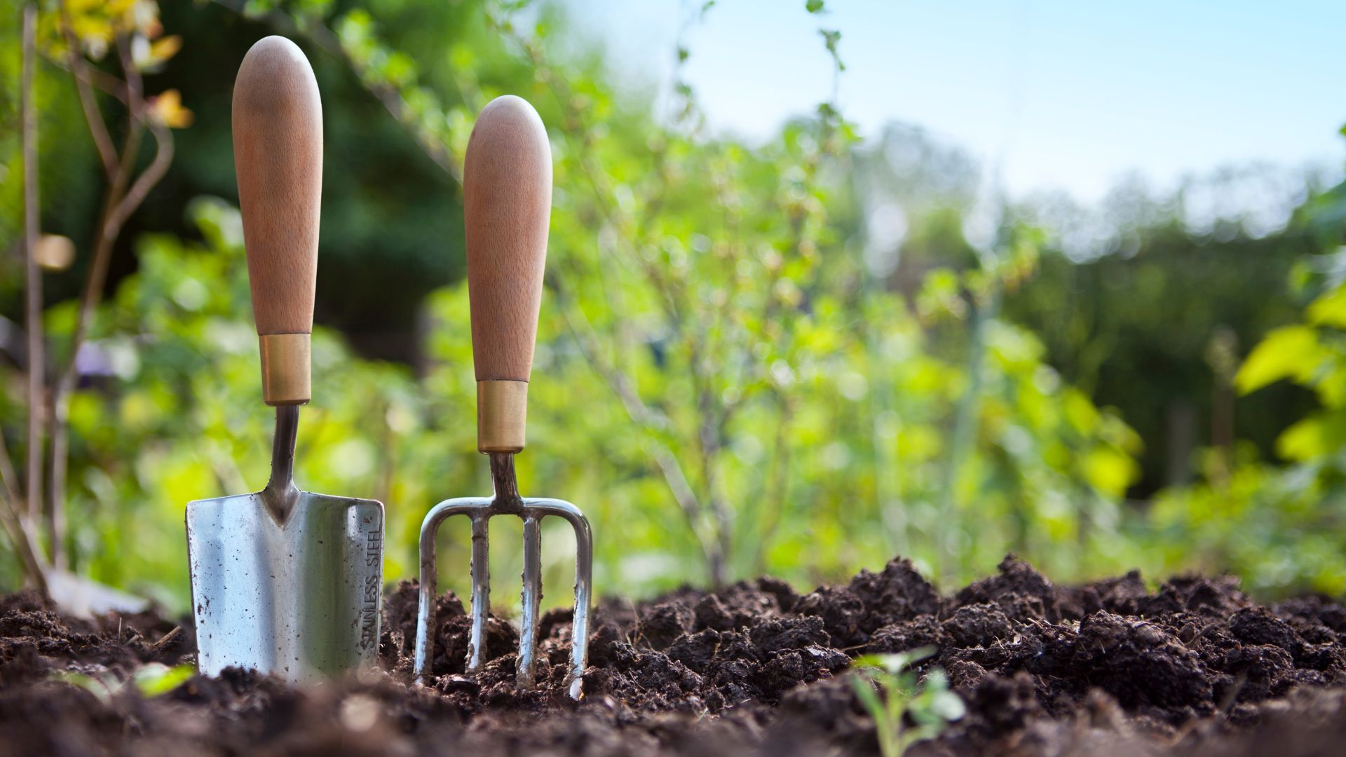 Garden spade and fork resting in freshly tilled soil with green background