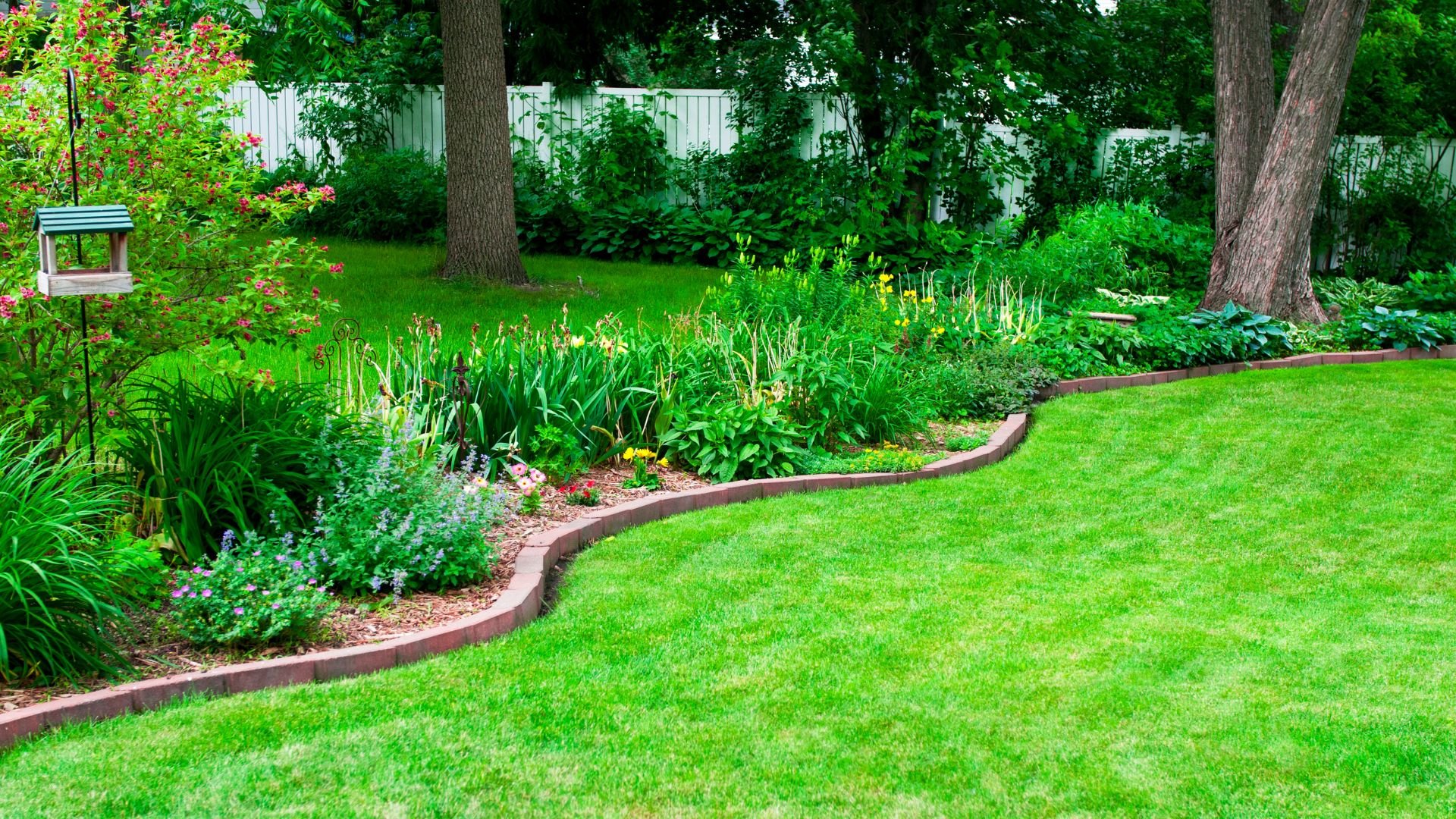 Lush garden with curved flower beds, green lawn, and white fence backdrop