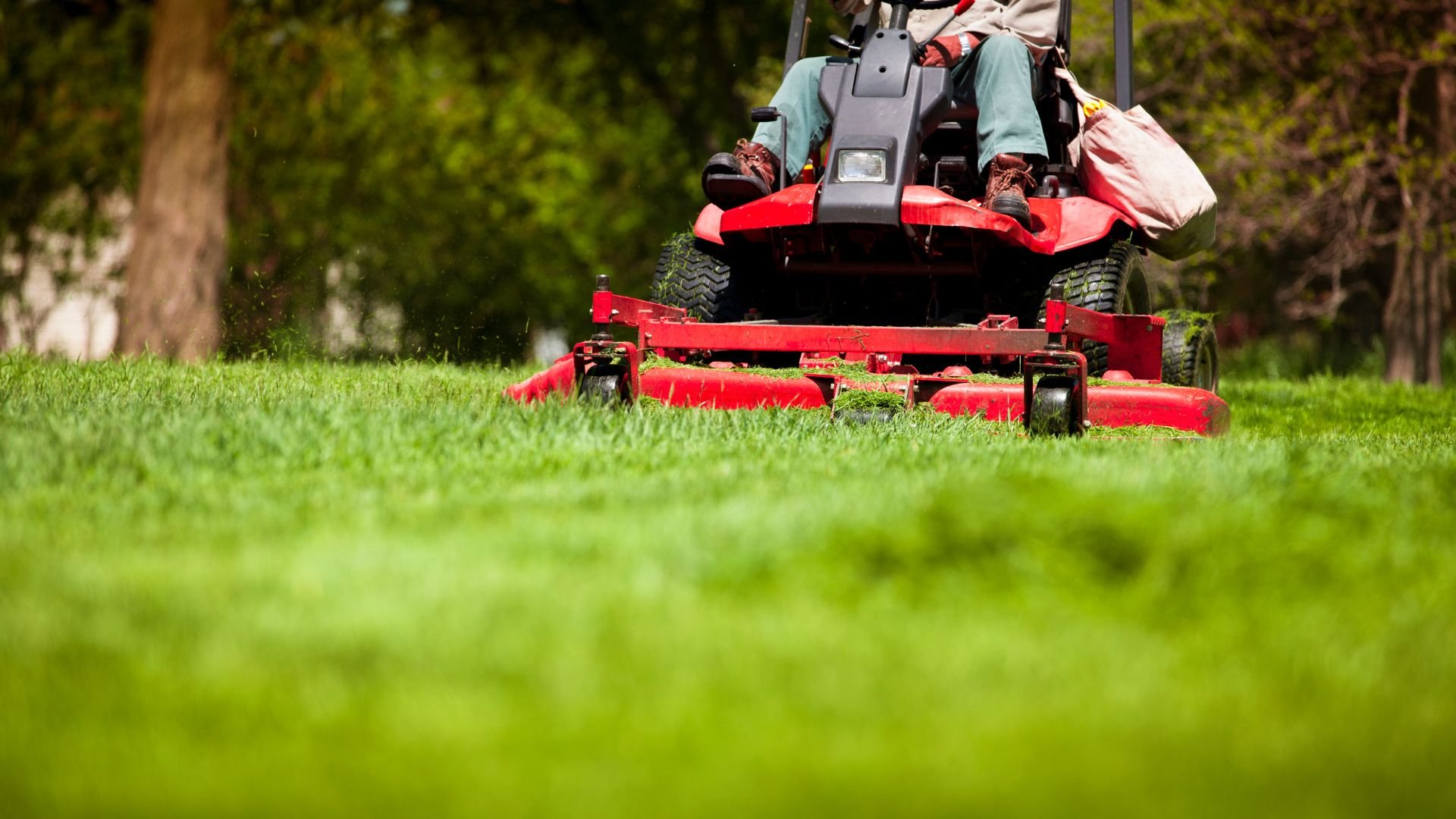 Red riding lawn mower cutting green grass on a sunny day